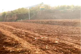 种出幸福生活，潍坊临朐城关街道共享菜园项目即将试运营图片