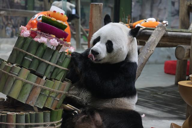奋进的河南 决胜“十四五”·洛阳篇丨文旅焕彩 新韵流淌