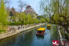 组图 | 无限春光，陪伴我们度过每一个美好的时刻图片