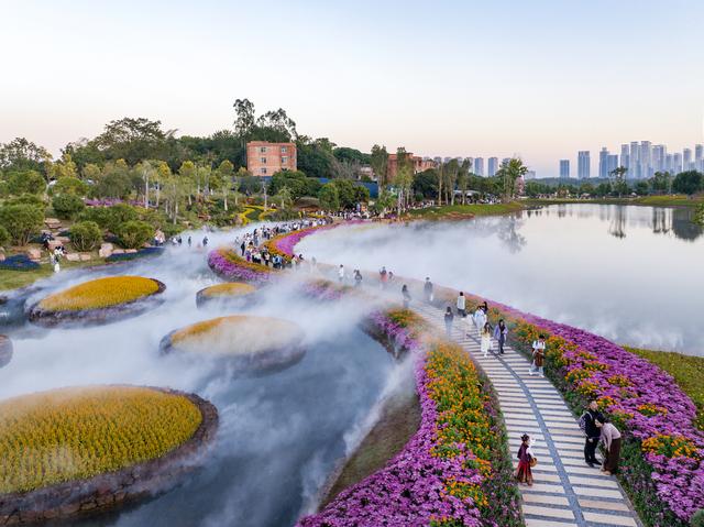 广西南宁：水雾弥漫绚烂花海 市民乐享冬日浪漫