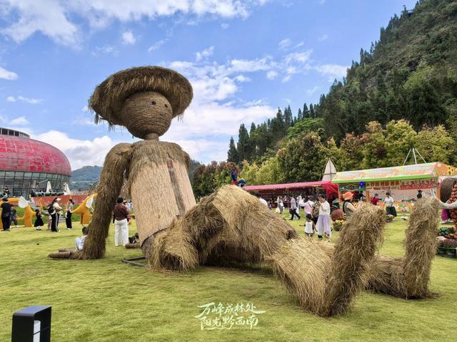 黔西南兴义：秋来赏菊观枫，阳光谷旅游度假区全家游好去处