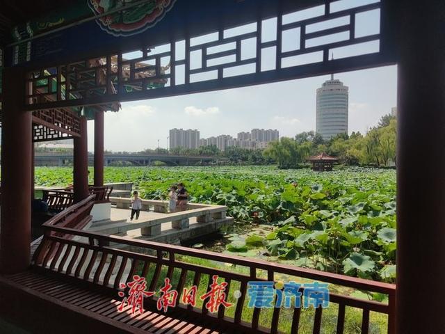 一年四季 泉在济南丨初秋济南天朗气清 市民户外乐享 “泉城秋韵”