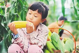 海南农垦企业挖掘资源禀赋，培植休闲农业新业态图片