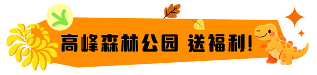 终于定了！2025南宁首届菊艺花海恐龙节来啦！