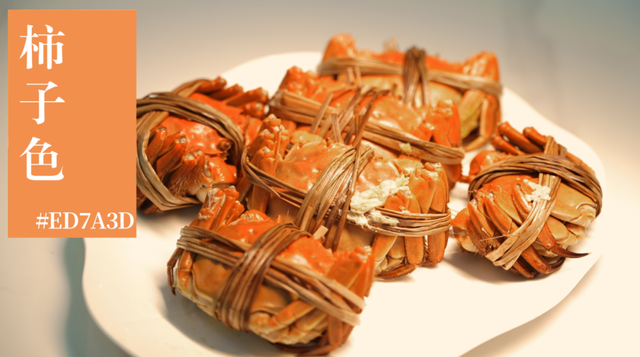 来横沙岛的秋风里，寻一抹中国黄