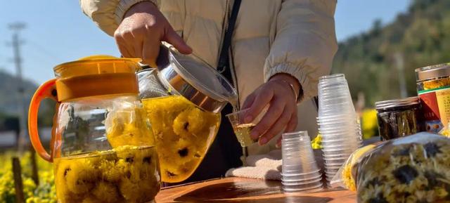 嘿，一起“采菊东篱”，就在这→