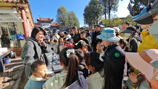 文化古迹成为生态科普课堂 37组亲子家庭大观公园沉浸式体验生态研学