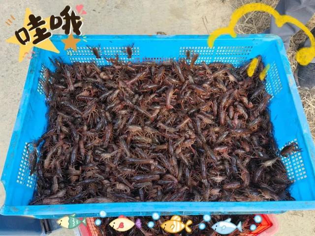 去趟句容!王炸线路有了🤩