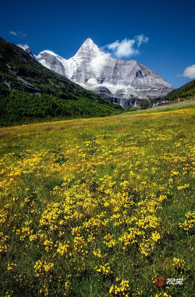 C视觉·C位追山⑨丨每一张都是手机屏保 隔屏仰望亚丁三大雪山