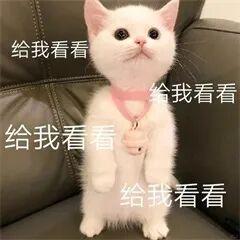 国庆中秋八天假，总要来一趟屏边吧？
