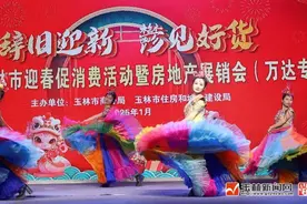 演唱会门票、特色年货、购房优惠，你抢到了吗？更多就在→图片