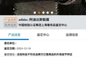 网购的阿迪达斯德训鞋两次鉴定都是假货 赔偿和检测费却没人承担图片