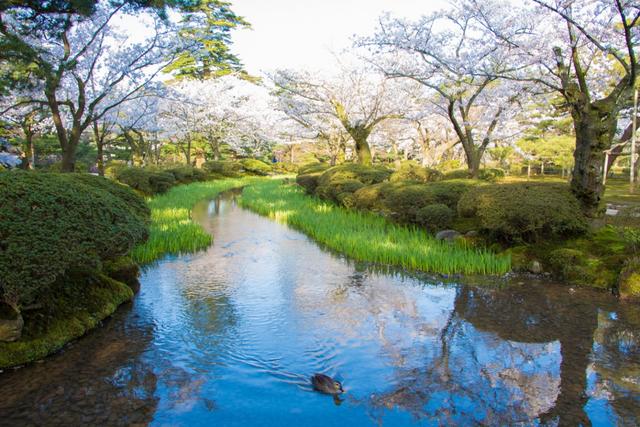 在过度旅游的时代，隐私正成为奢华旅行的核心价值