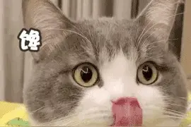 “夜宵顶流”小龙虾上市啦！价格比去年便宜三成！这样选→图片