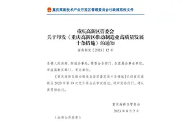 最高奖励500万元 重庆高新区出台十条措施支持制造业高质量发展图片