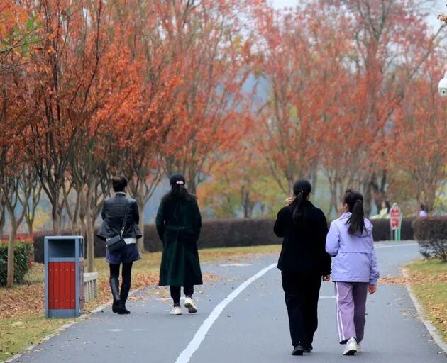 别眨眼，接下来的新干是这样的→