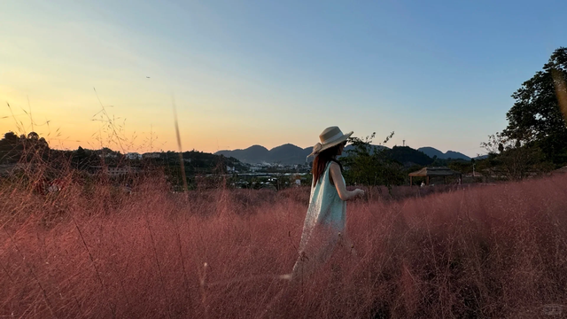 9月贵阳赏花地图｜这些绝美花海，承包你的初秋浪漫！
