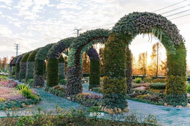 走进斗南七彩花海，看一场春天的盛大绽放