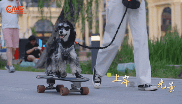 在北京亮马河，春天是从上船那一刻开始的