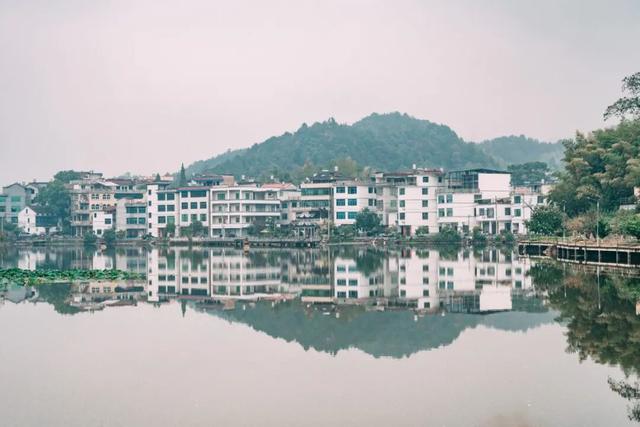 充满诗意！永康这个村藏着一个“小西湖”