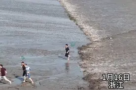 钱塘江一带居民的传统习俗：抢潮头鱼，被称为“生命拴在裤腰带上”的行当。图片