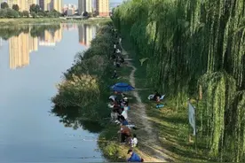 国庆假期“钓鱼热” 购置全套渔具花销上千元很常见图片