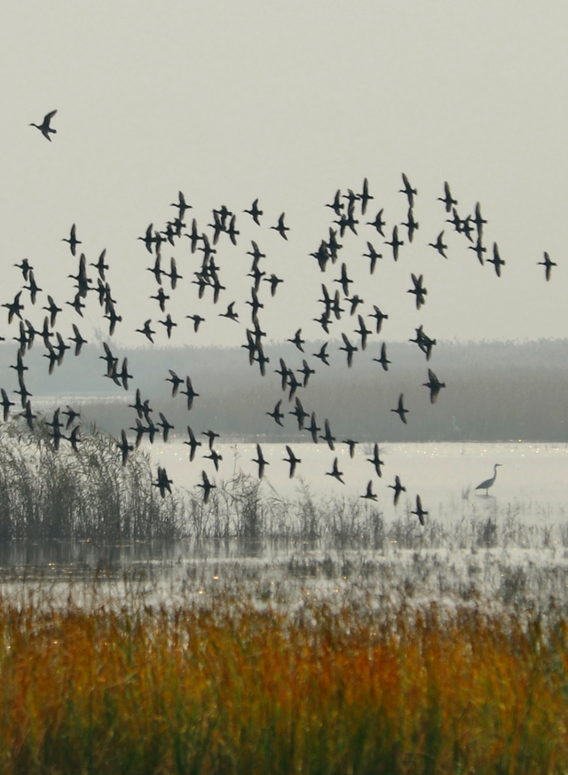 想吃正宗东台本港海鲜吗？