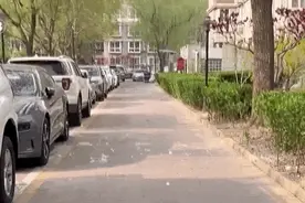 漫天飞舞的飞絮还将持续一个月！解决鼻过敏，推荐这几个中医方法图片