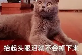 邻居加装外开式防盗门，妨碍自家出入，起诉了……图片