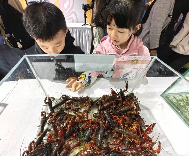 发布16条城乡游路线！四川宜宾启动“两节”活动，让烟火气更浓