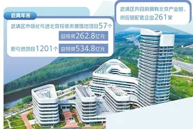 天津武清打造京津产业新城图片