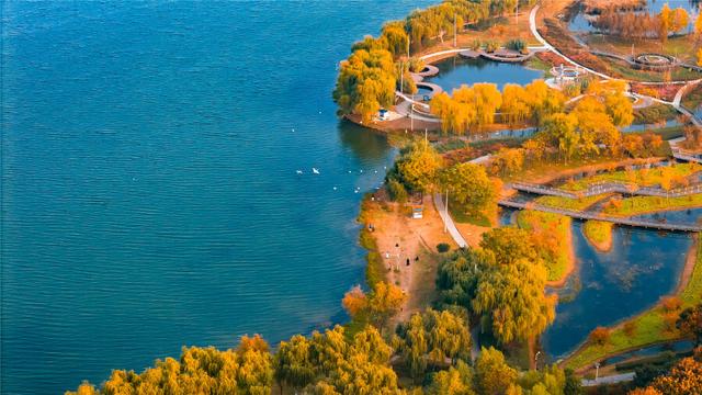 冬日龙湖湿地斑斓如画 城市天际线醉入童话林