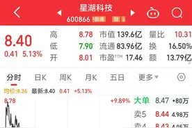 站上合成生物风口，星湖科技不惧股东减持，盘中一度逼近涨停图片