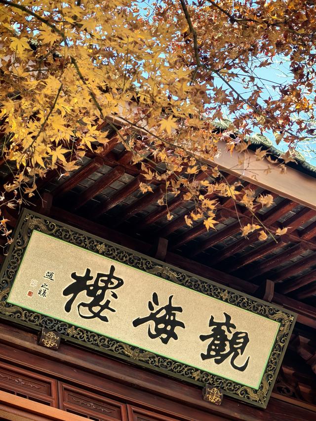 晚潮｜西湖赏枫人群中为何少了苏轼