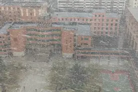天津又下雪又下雨啦！图片