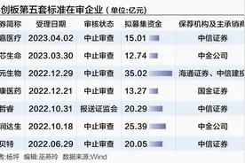 第五套标准有望恢复审核 科创板八条廓清企业准入边界图片