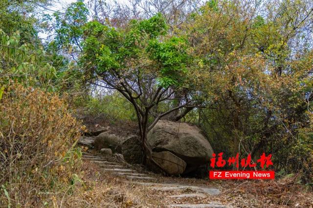 太美了！福州这条古驿道，下个月将开放！