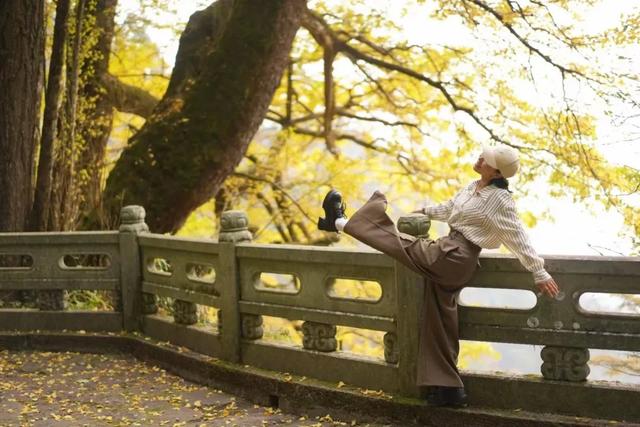 临安，一座被银杏腌入味的城市