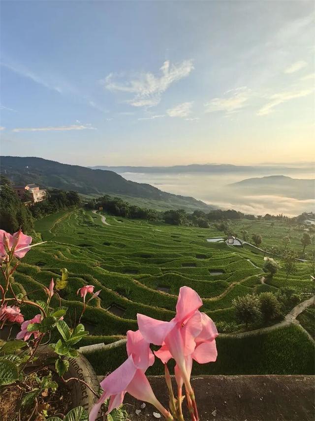 一周之内两次被外交部“种草”，红河凭什么？