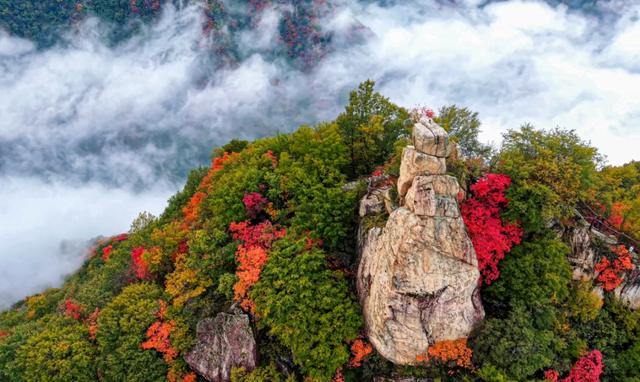 西安这两个公园官宣：开园啦！