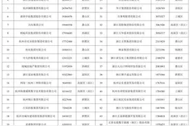 规模不断壮大！2023杭州市综合百强企业榜单首次正式发布图片