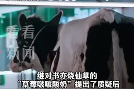 芒果酸奶奶昔里加了啥？上海消保委点名茉酸奶脂肪含量高图片