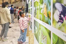 新民教育观察｜科学教育的 “矛盾局”怎么破？专家有话说……图片