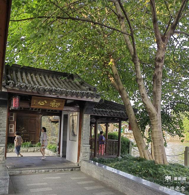 写点生活｜运河边的耄耋桃花源
