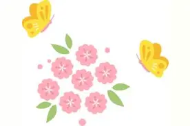 【三八特辑·巾帼风采专栏】巴东县优秀女性事迹展播（十六）--东瀼口镇新农人向传艳图片