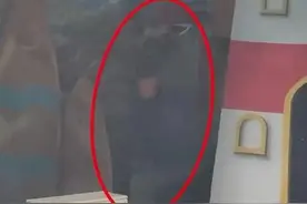 郑州一海洋馆通报“驯养员脚踢海狮”处理结果：驯养员已辞退，为该海狮安排不少于一周的休假图片