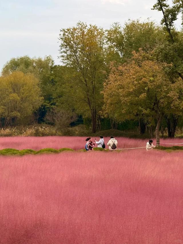 听说周末的石门坊挤爆了？哎，我有一计！