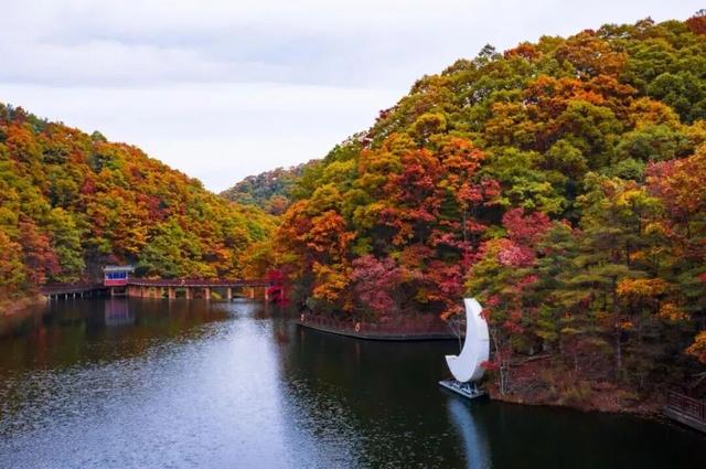 初冬高饱和度美景，还得看洛阳！