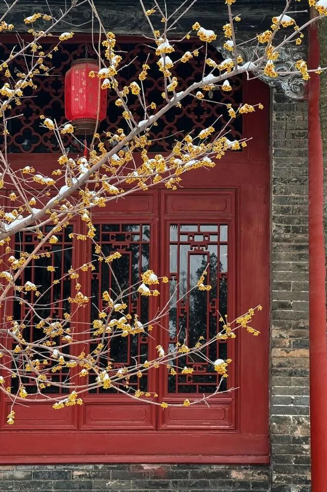 快，晒出你手机里2026年的第一场雪！