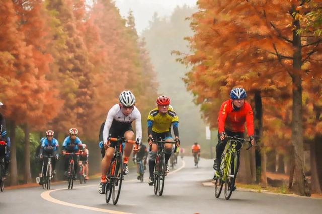 溧水秋天，有点好“骑”~